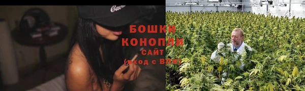 индика Лагань