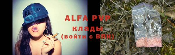 индика Лагань