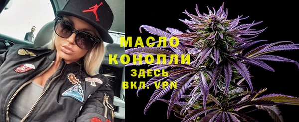 индика Лагань