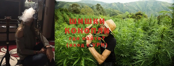 спайс Ладушкин