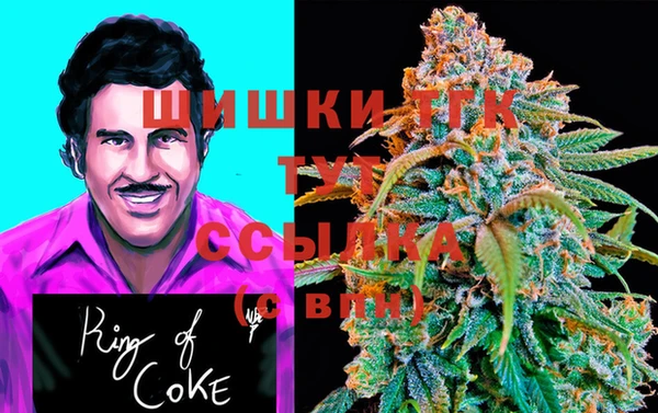 спайс Ладушкин