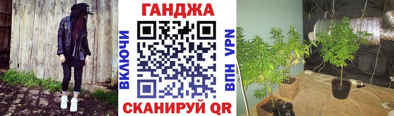 Бошки Шишки VHQ  Купить  Петров Вал 